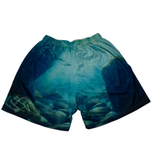 Cargar imagen en el visor de la galería, MARINA MESH SHORTS
